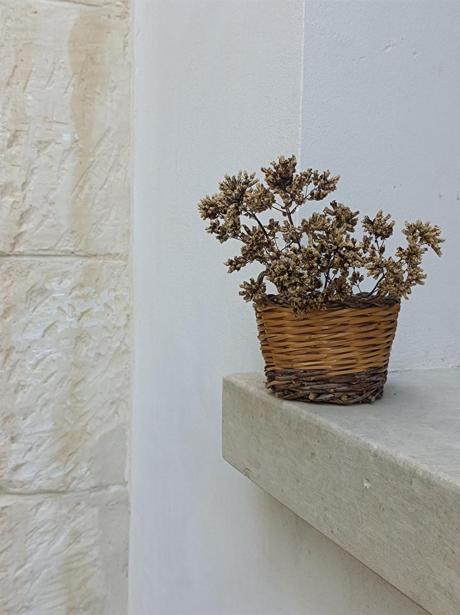 Camera Origano In Salento Мартано Экстерьер фото